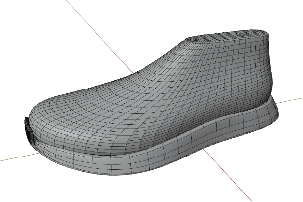 3D Shoe Last